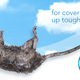 Image for article titled Febreze Introduces New Rotting Rat Carcass For Covering Up Tough Odors